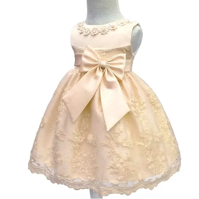 Baby Princess Dresses