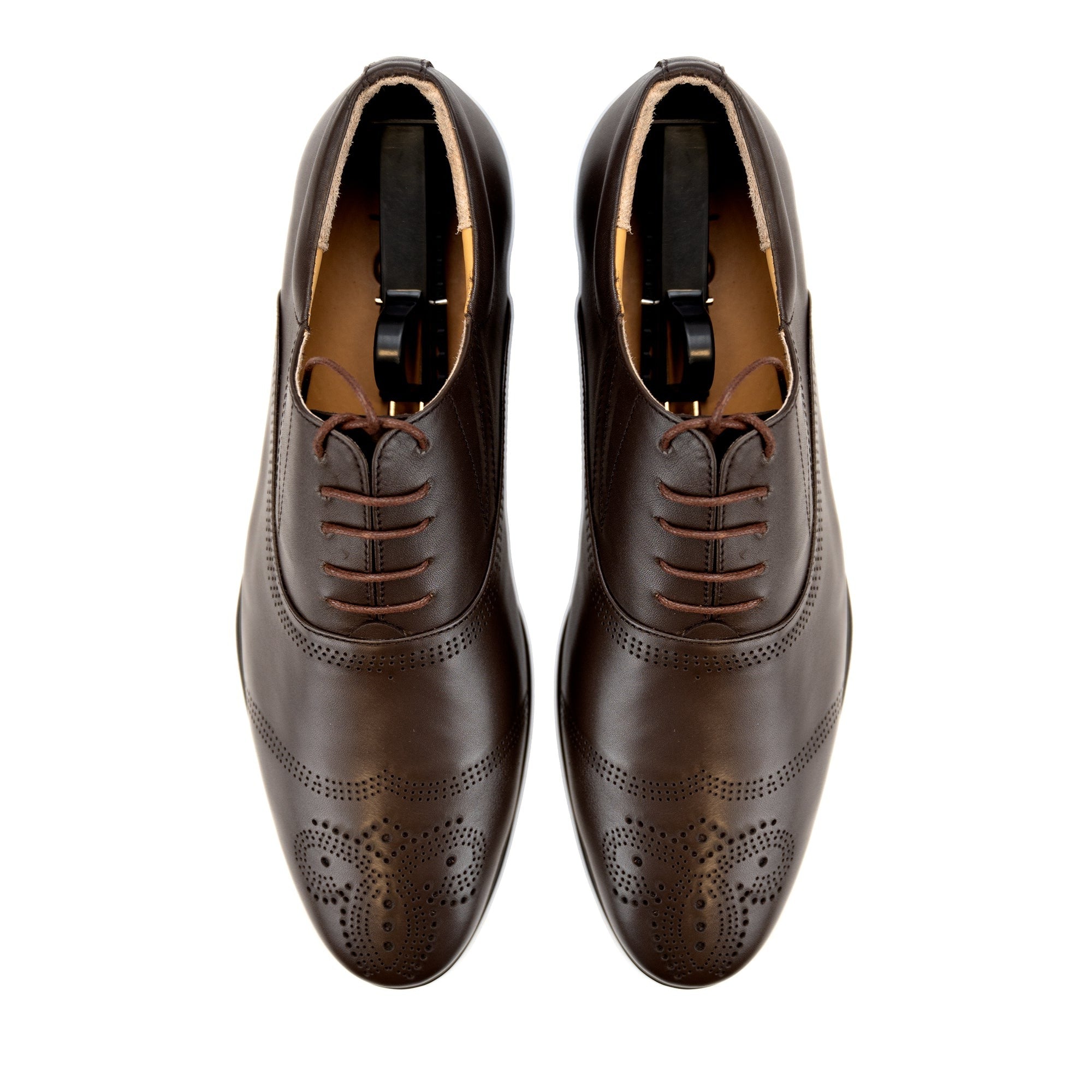 Wingtip Patterned Oxfords